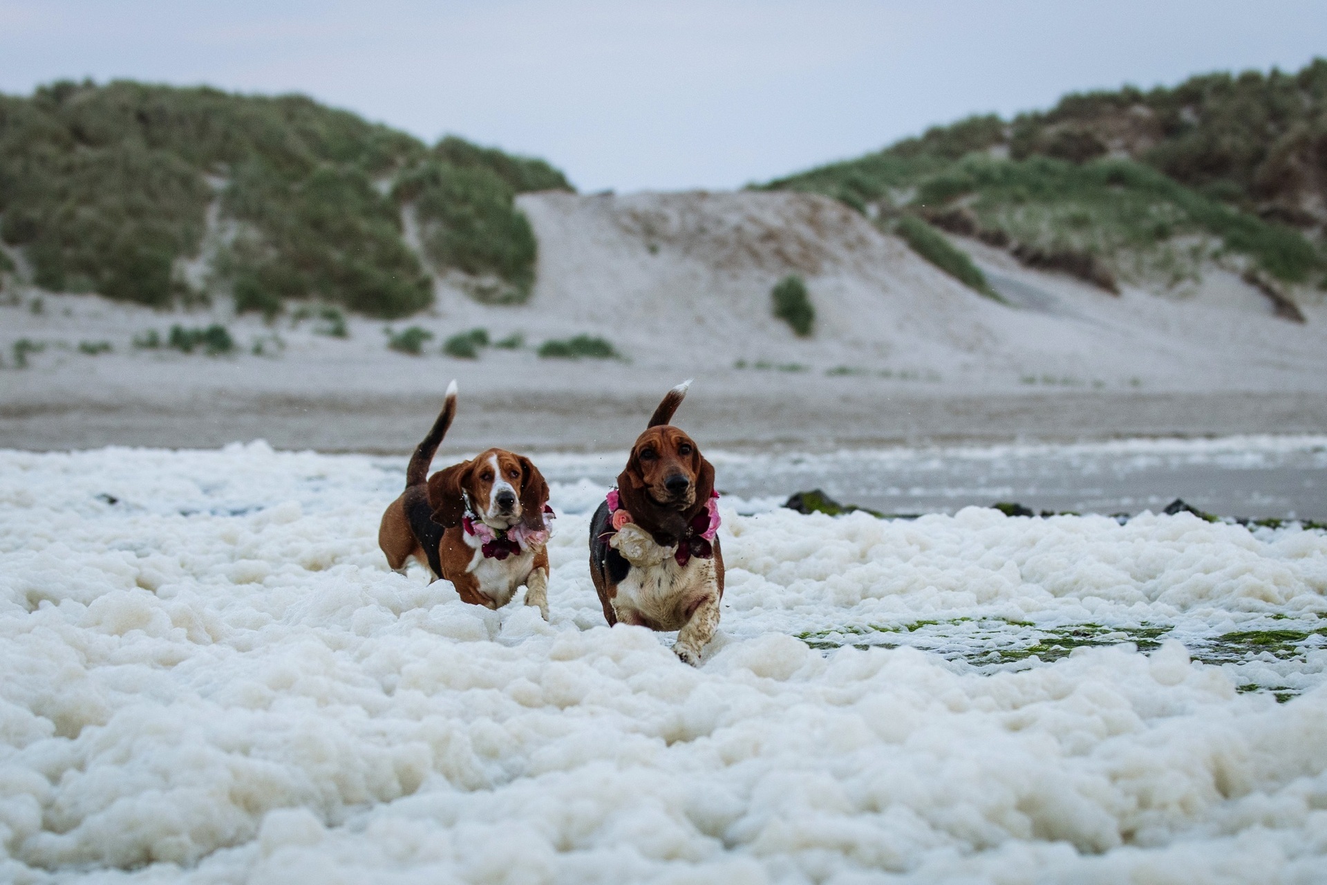 Bruidsfotograaf Vlieland