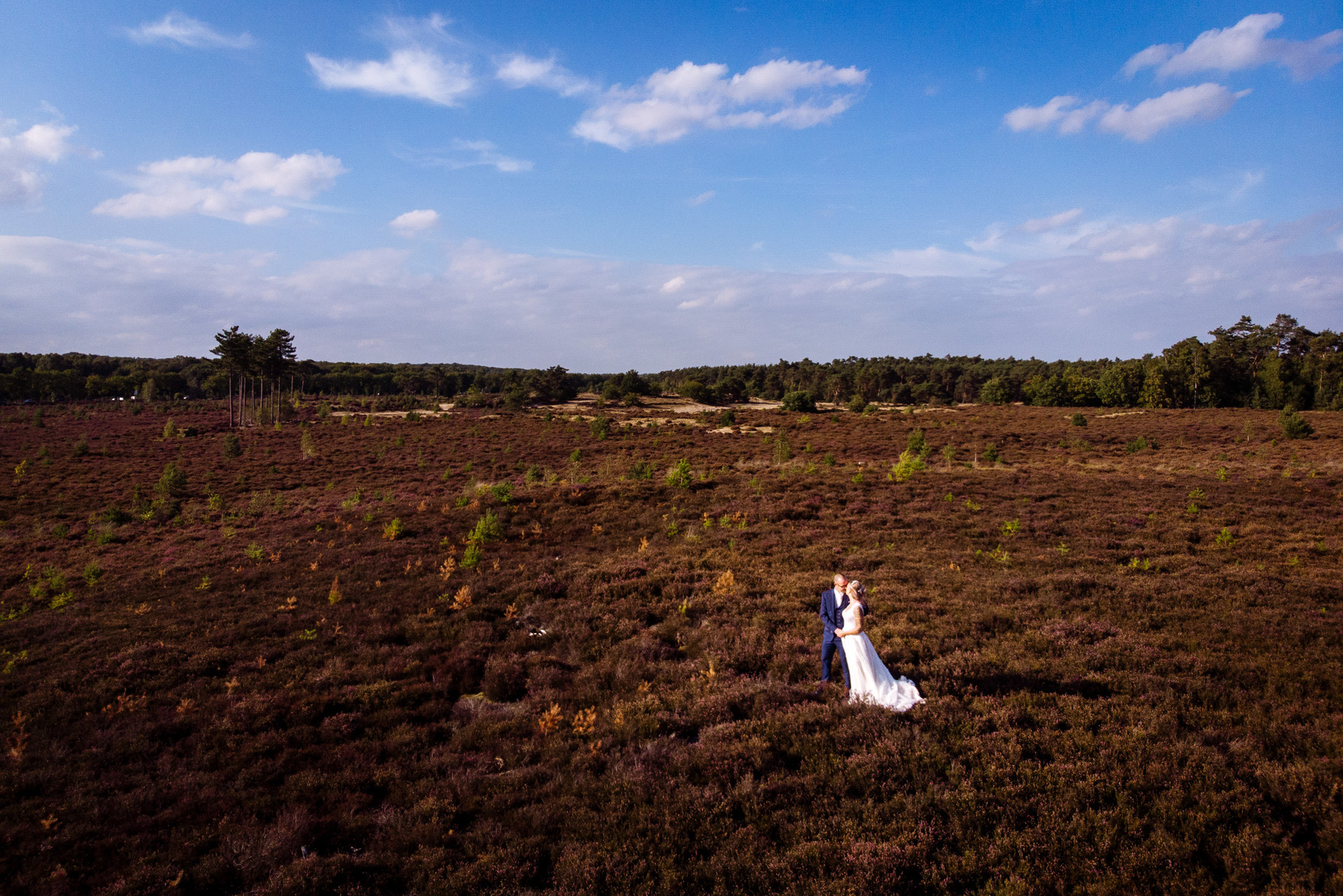 Bruidsfotograaf Trouwen in het Bos bij de Mof